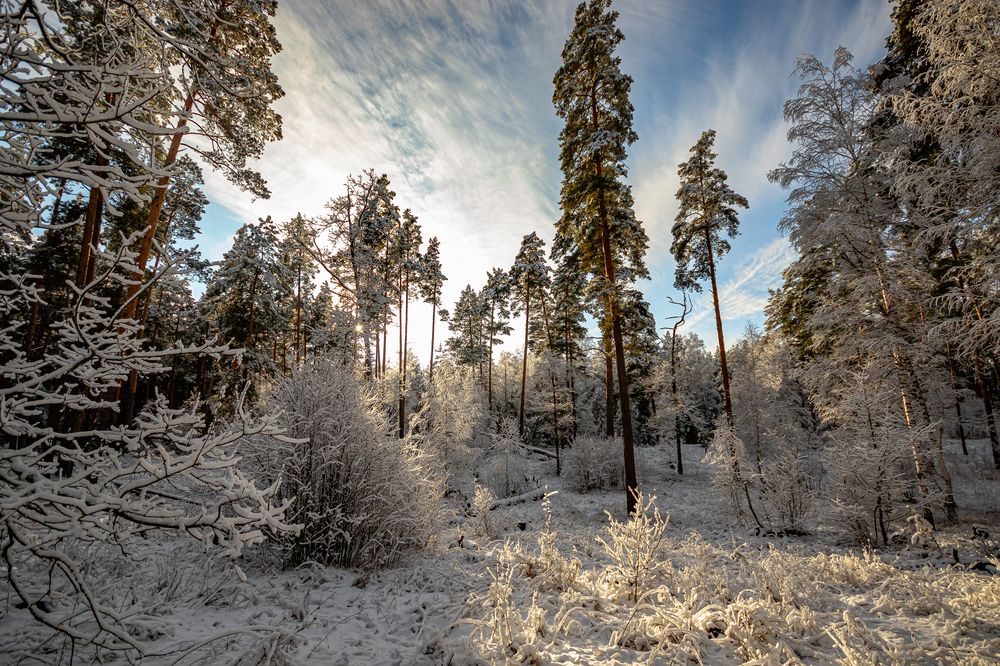 Photograph by Павел Васенин
