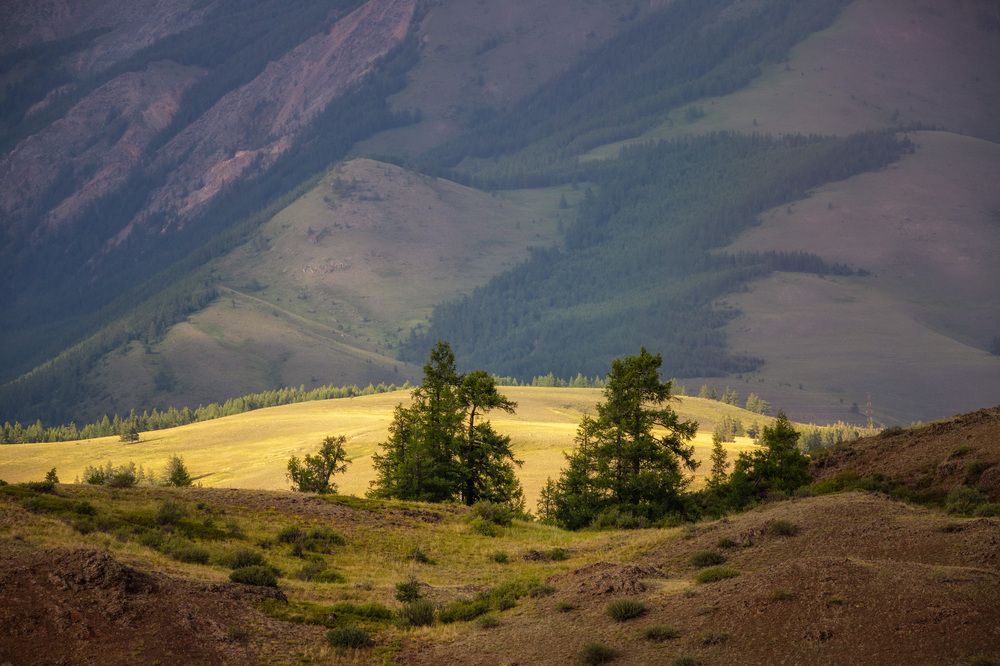 Photograph by Станислав Аристов