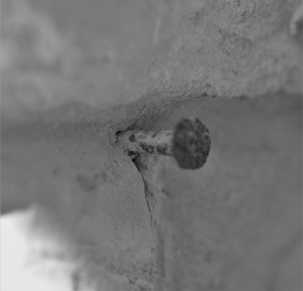 Фотография автора Ася Бабушкина