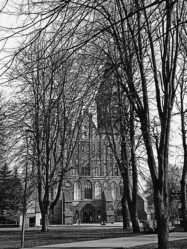 Photograph by Альфия Агзами