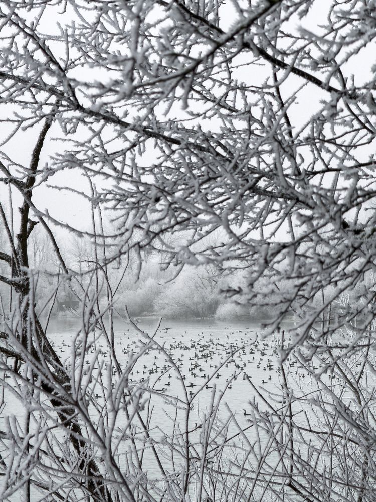 Photograph by Анна Голубцова