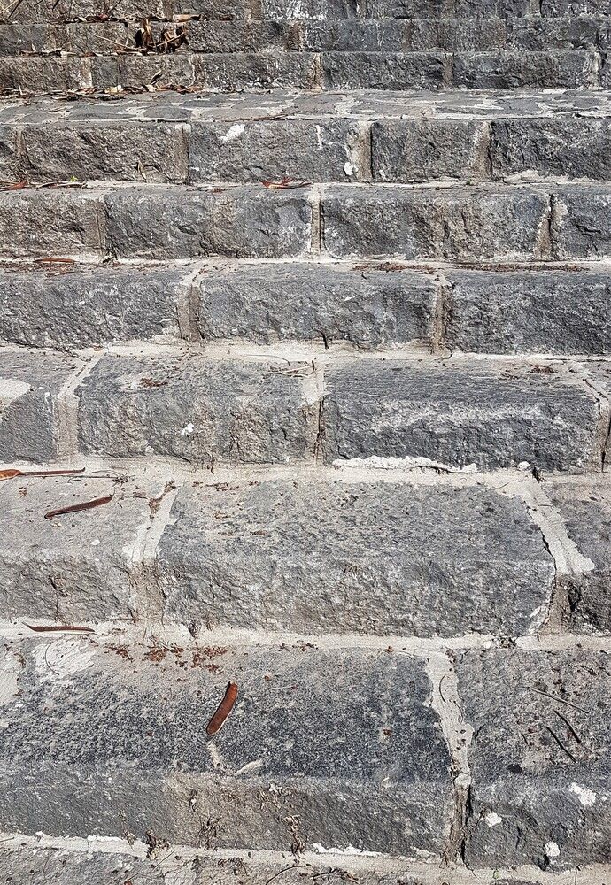 Фотография автора Ася Бабушкина