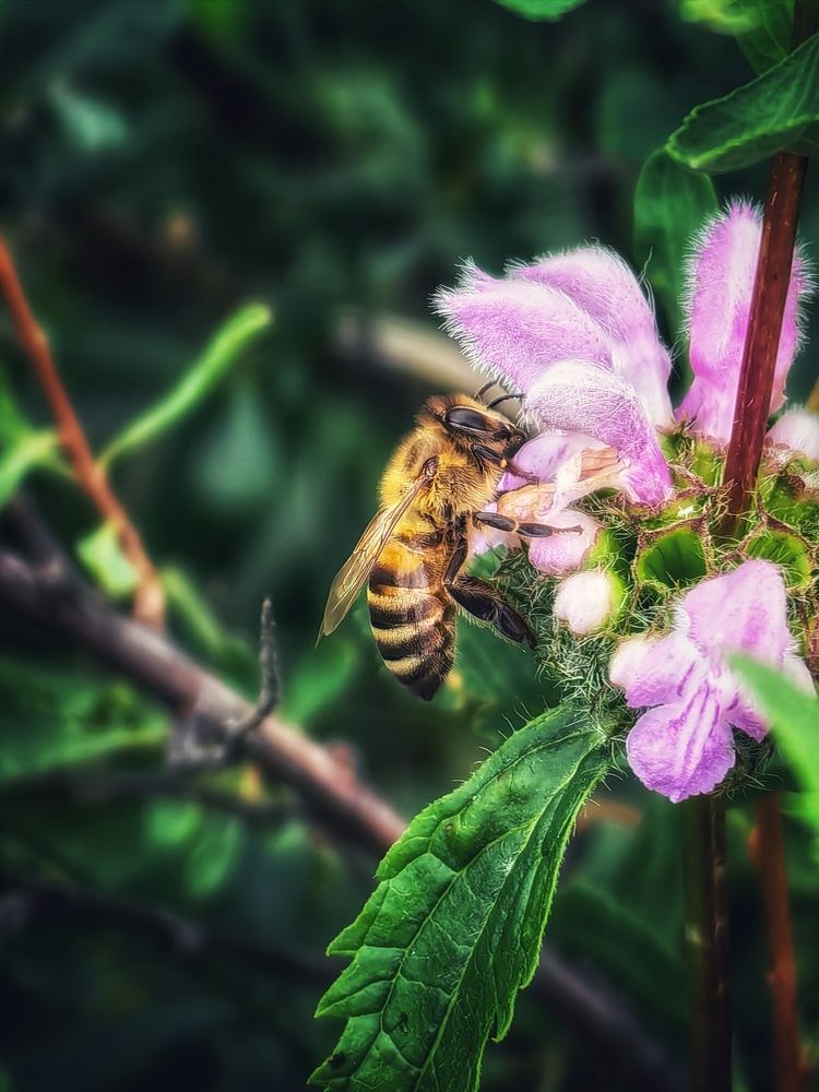 Photograph by Сергей Зайцев