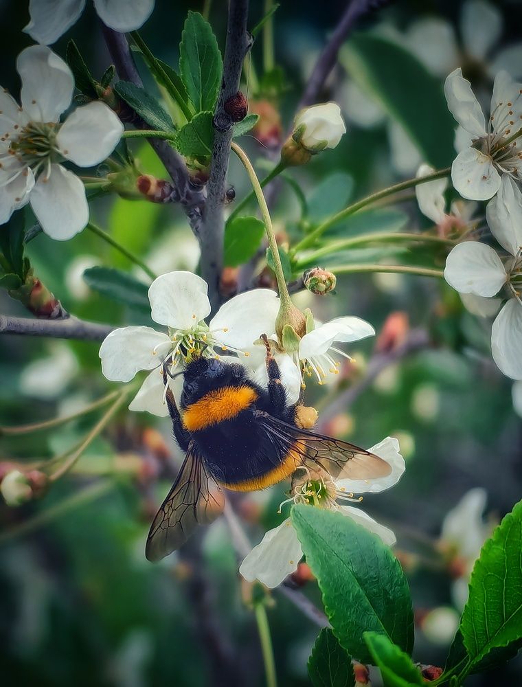 Photograph by Сергей Зайцев