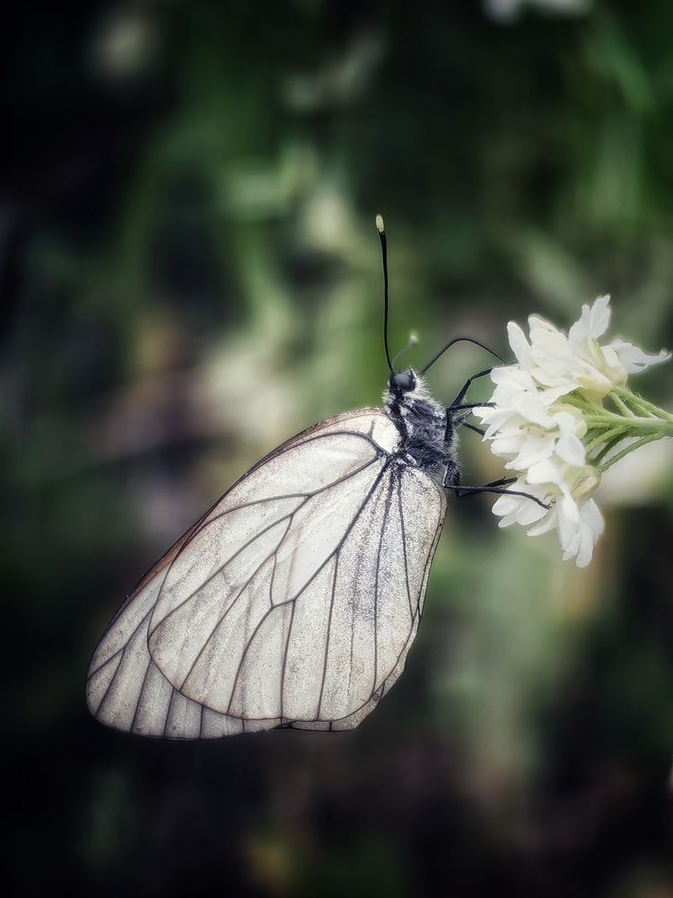 Photograph by Сергей Зайцев