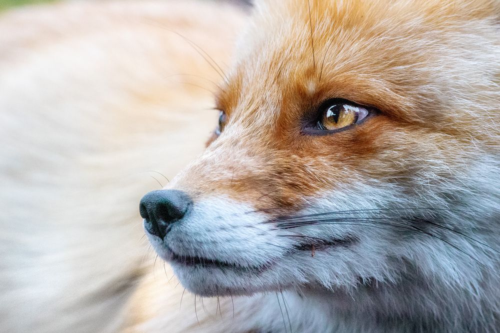 Photograph by Станислав Аристов