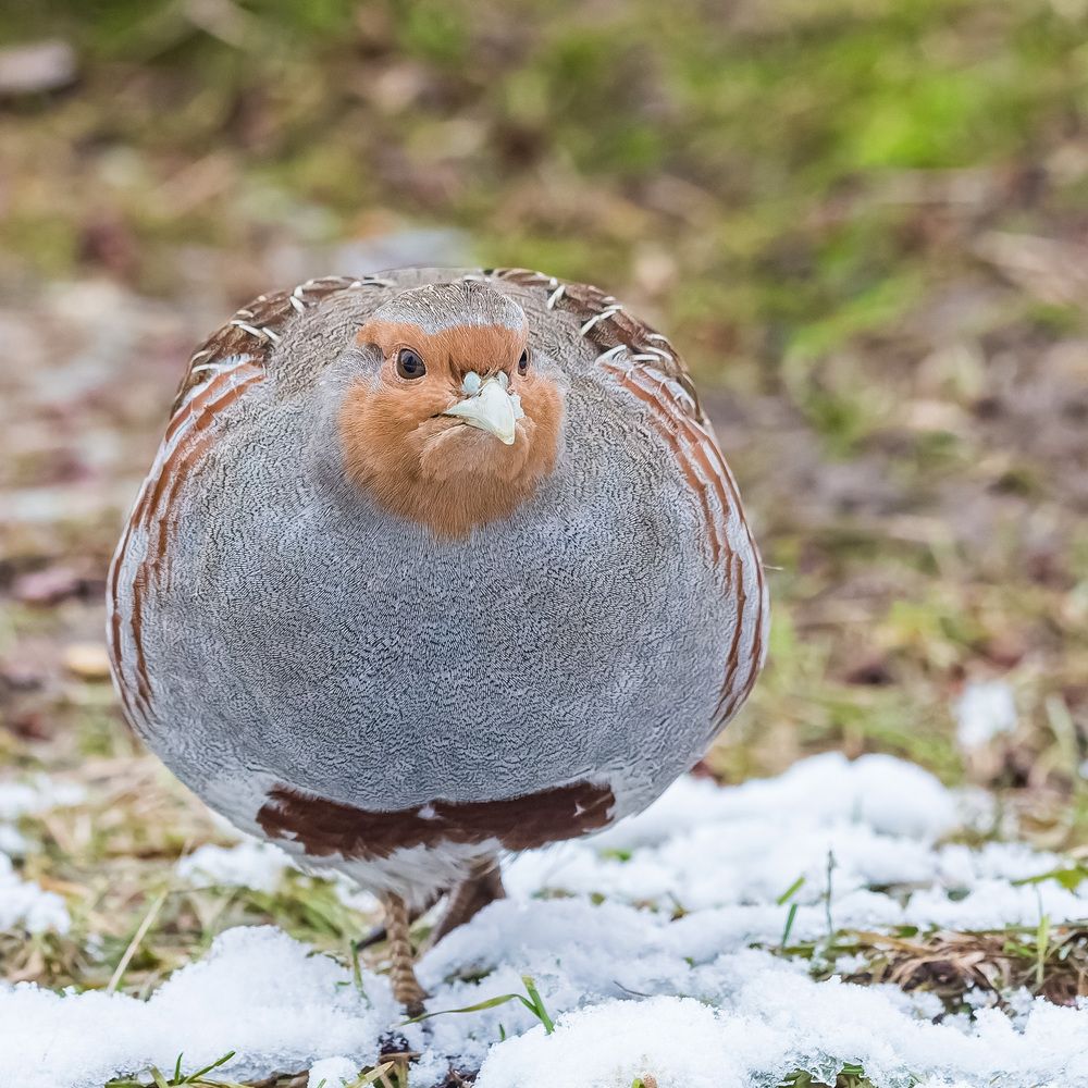 Photograph by Victor Shaposhnikov