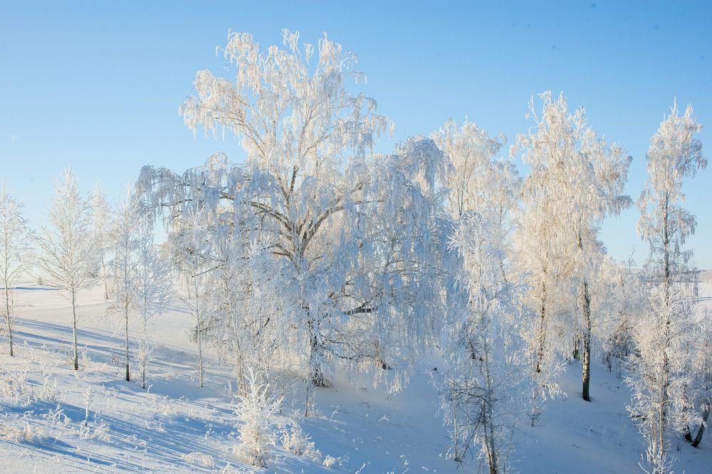 Фотография автора Рамиль Фаттахов