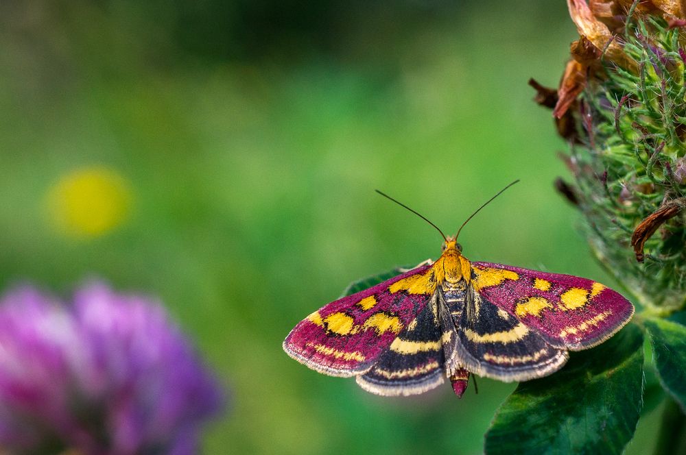 Photograph by Николай