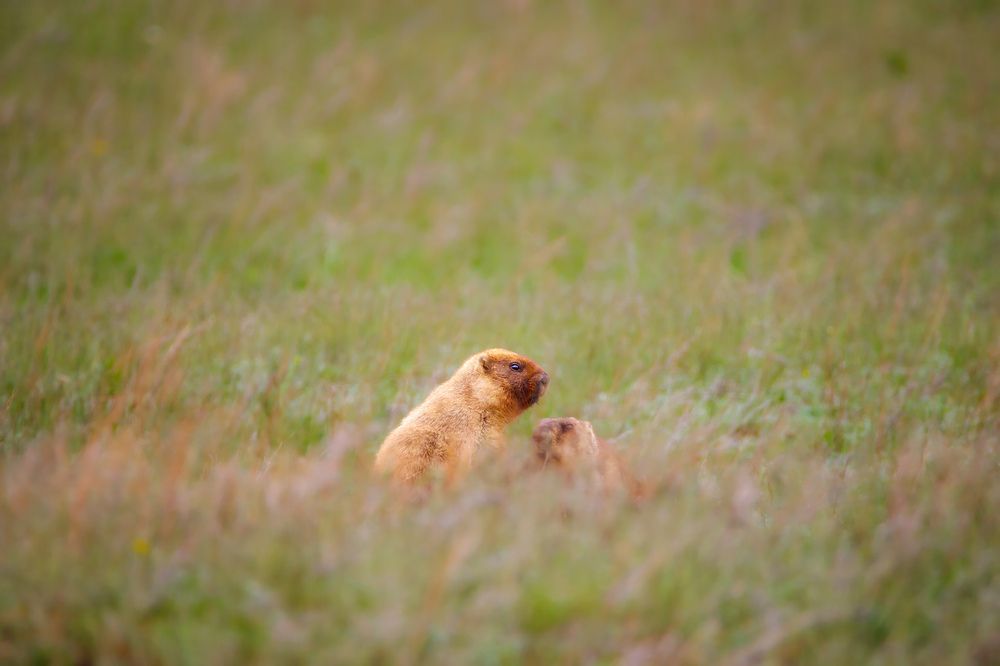 Photograph by Станислав Аристов