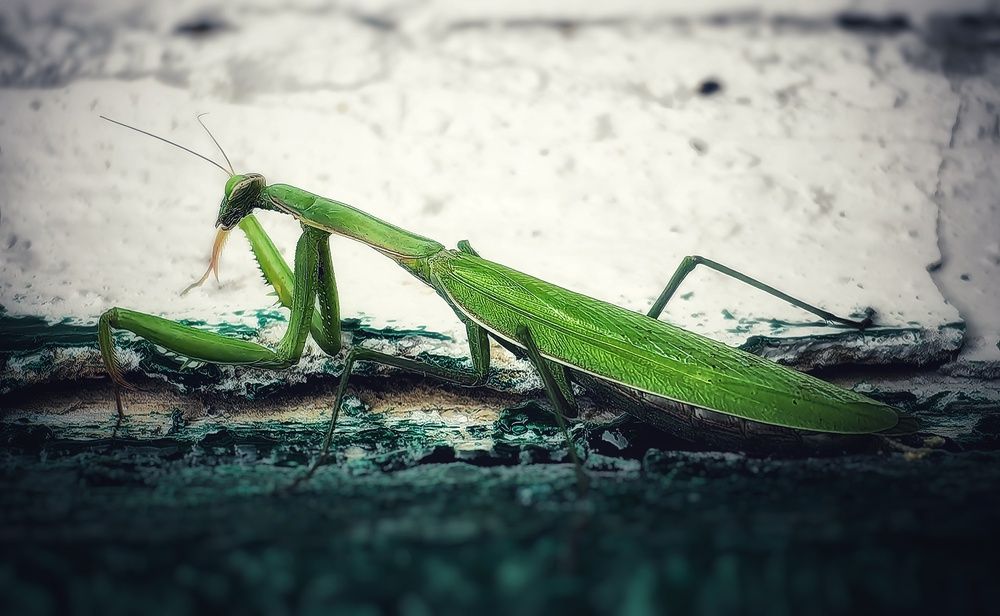 Photograph by Сергей Зайцев