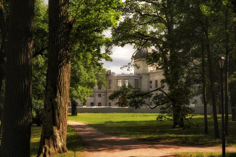 Photograph by Елена