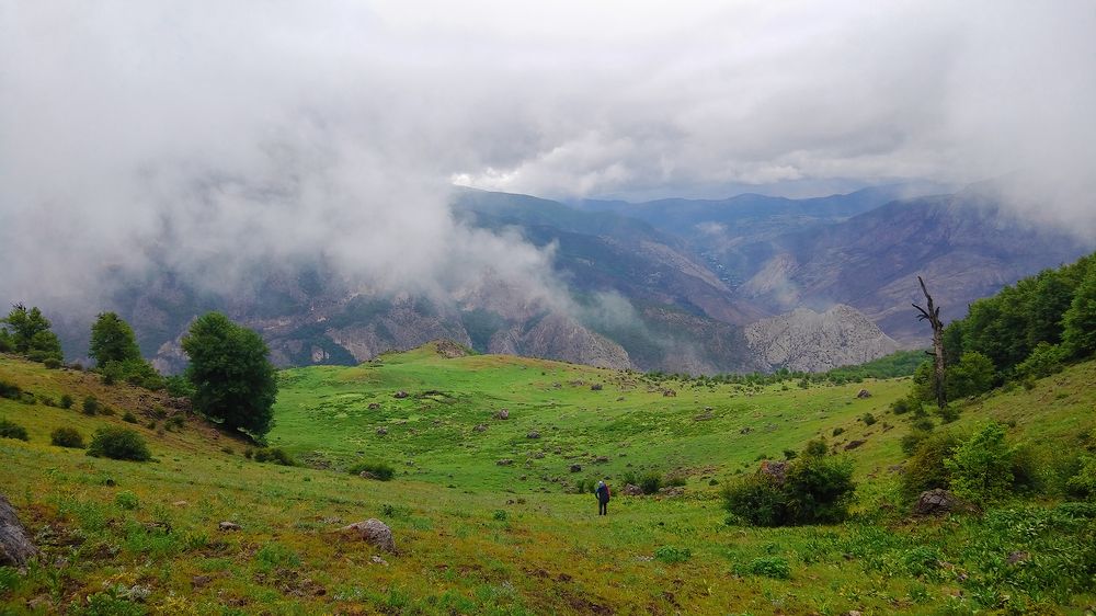 Photograph by Amin Maleki