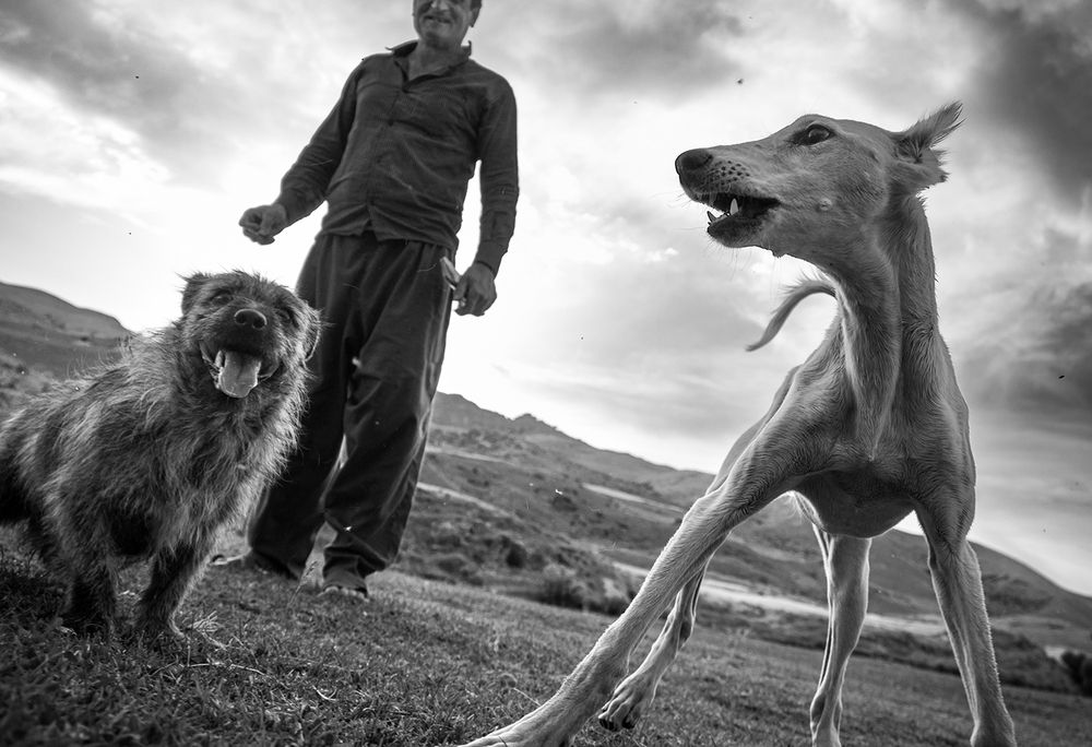 Фотография автора Omid Baneh