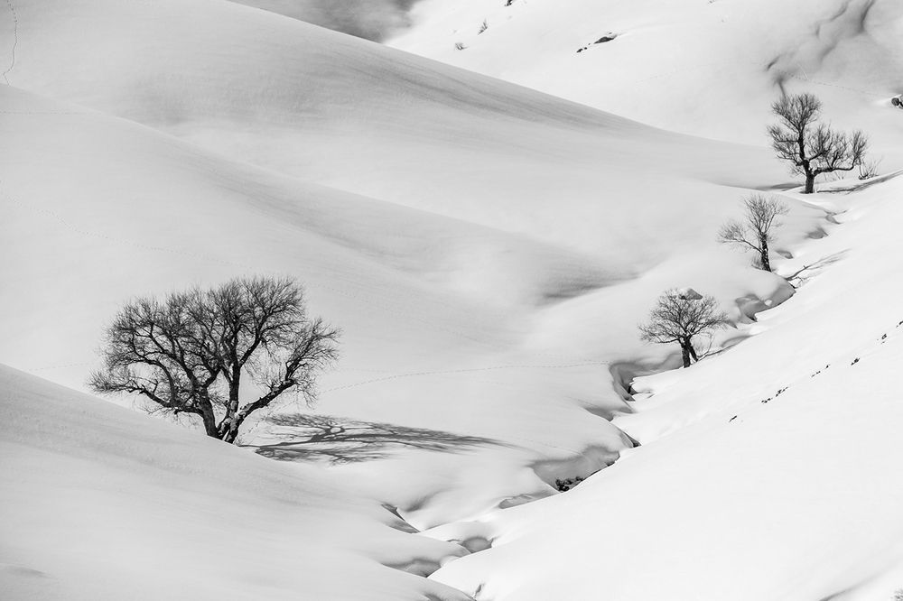 Фотография автора Omid Baneh