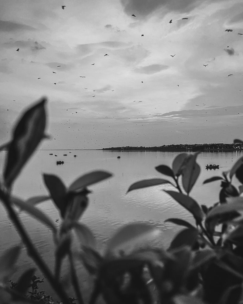 Photograph by Kuldeep Lodhi