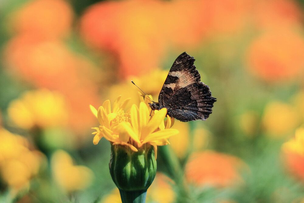 Photograph by Любовь Иванова