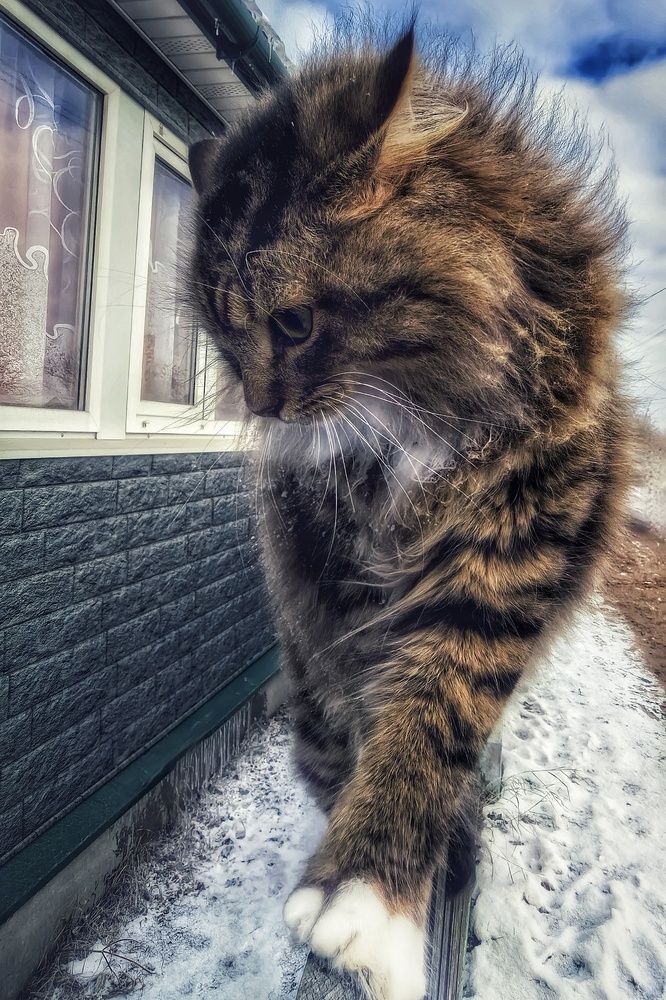 Photograph by Анна Зорька