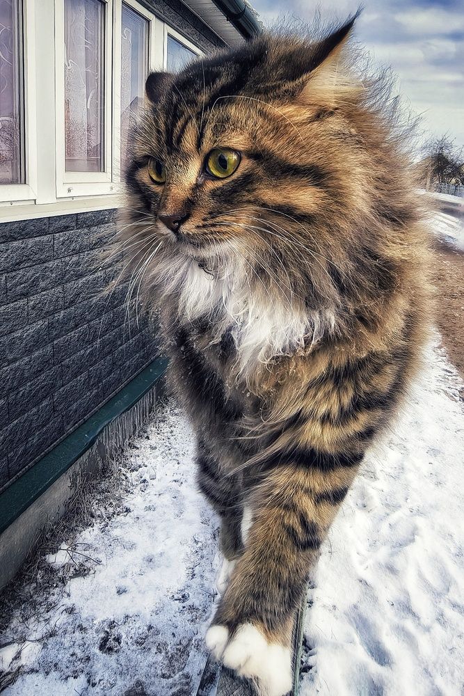 Photograph by Анна Зорька