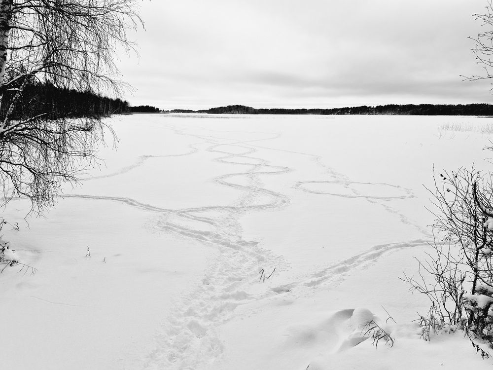 Фотография автора Колосова Елена
