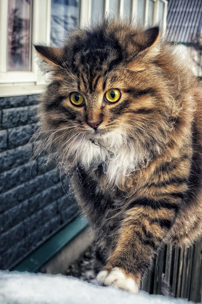 Photograph by Анна Зорька