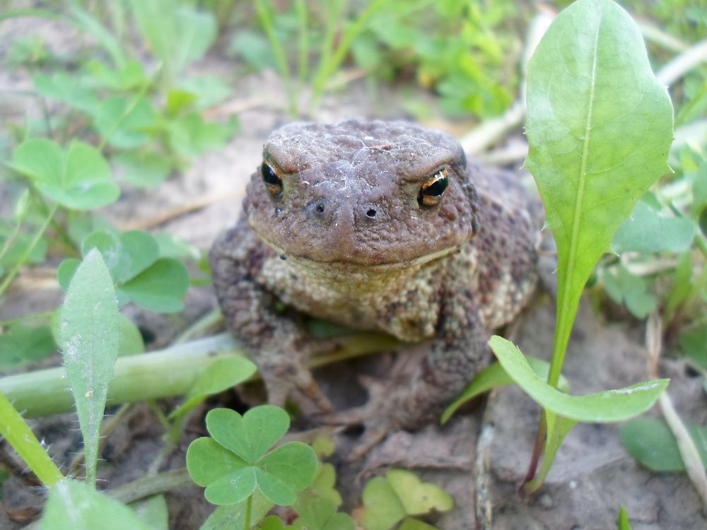 Photograph by Михаил Сербаев