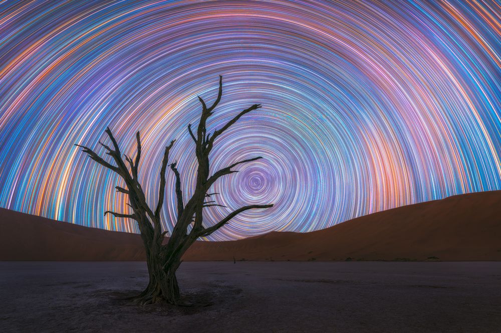 Photograph by Daniel Viñé Garcia