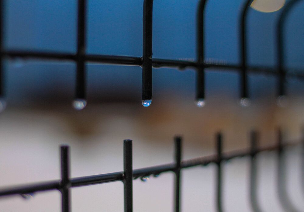 Photograph by Любовь Иванова