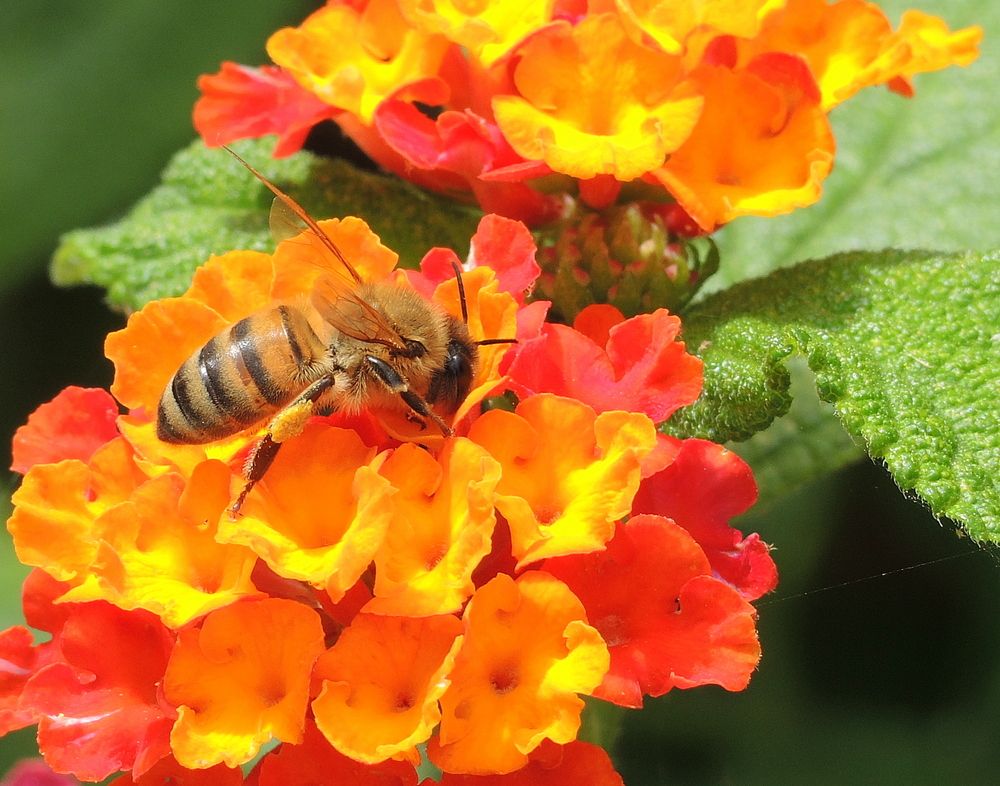 Photograph by Марина Колядина