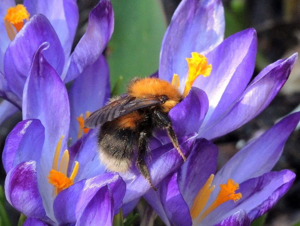 Photograph by Марина Колядина