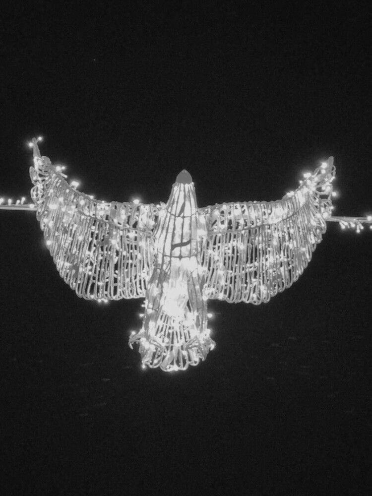 Фотография автора Ася Бабушкина