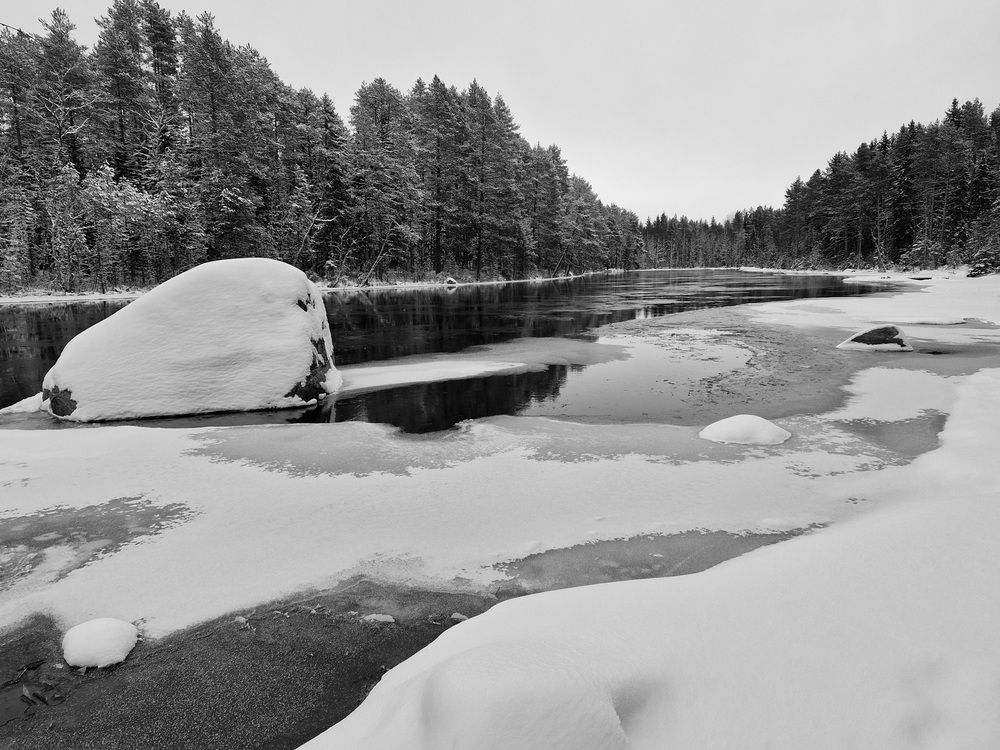Фотография автора Колосова Елена
