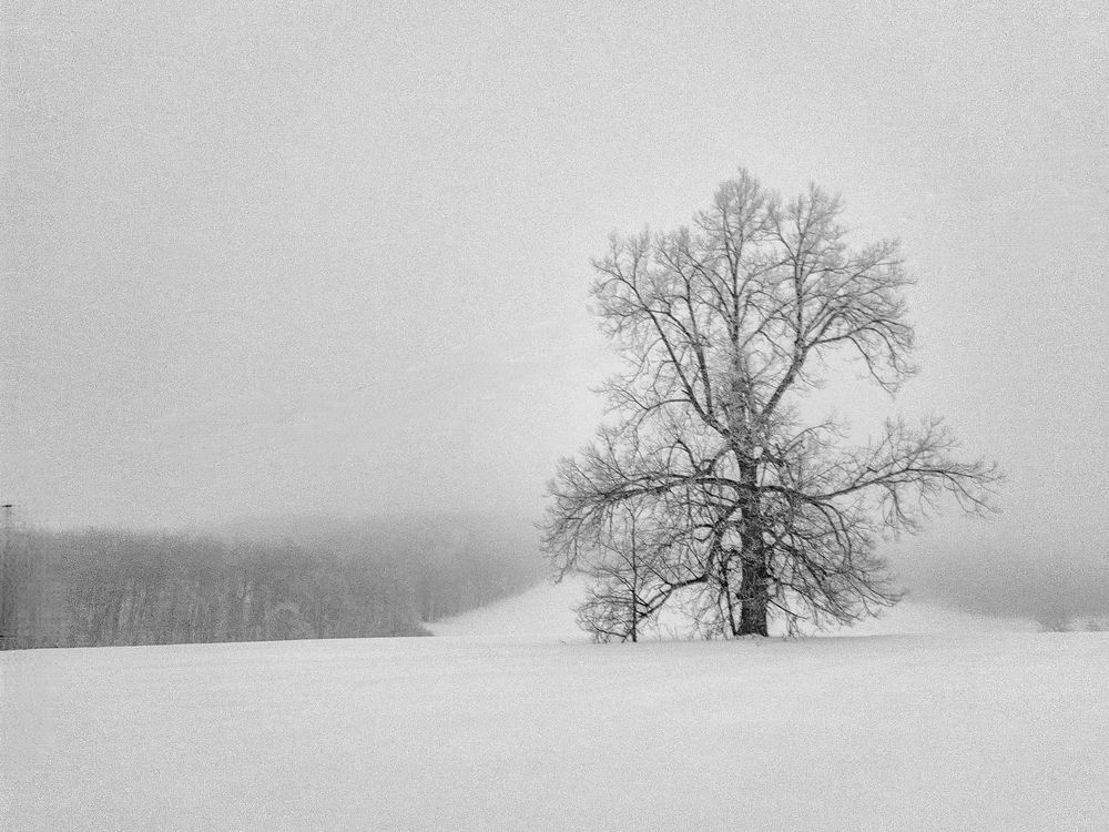 Photograph by Гузель Вильданова