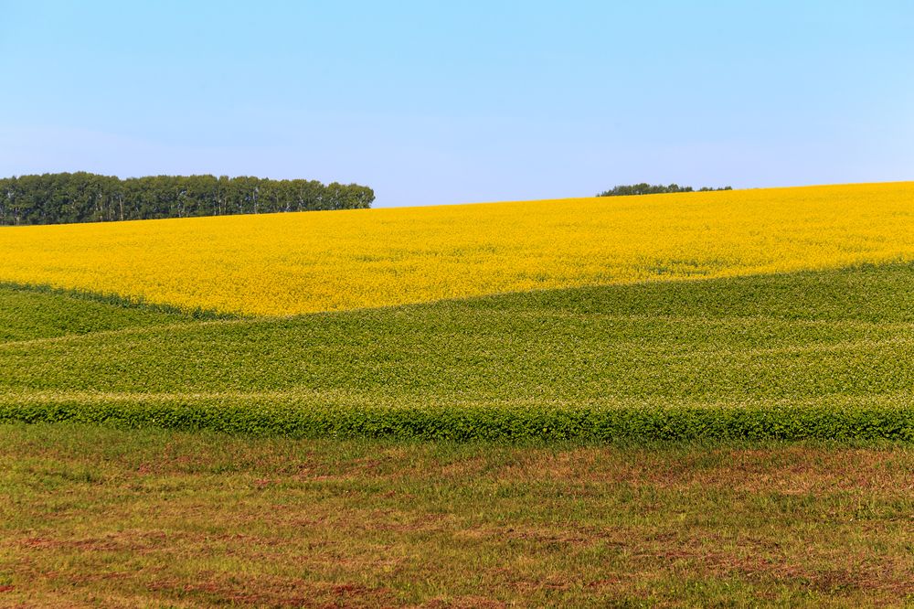 Photograph by виктор ковчин