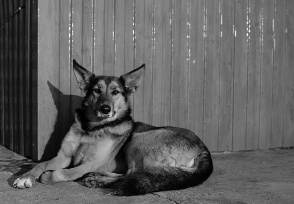 Photograph by Артём Пархоменко