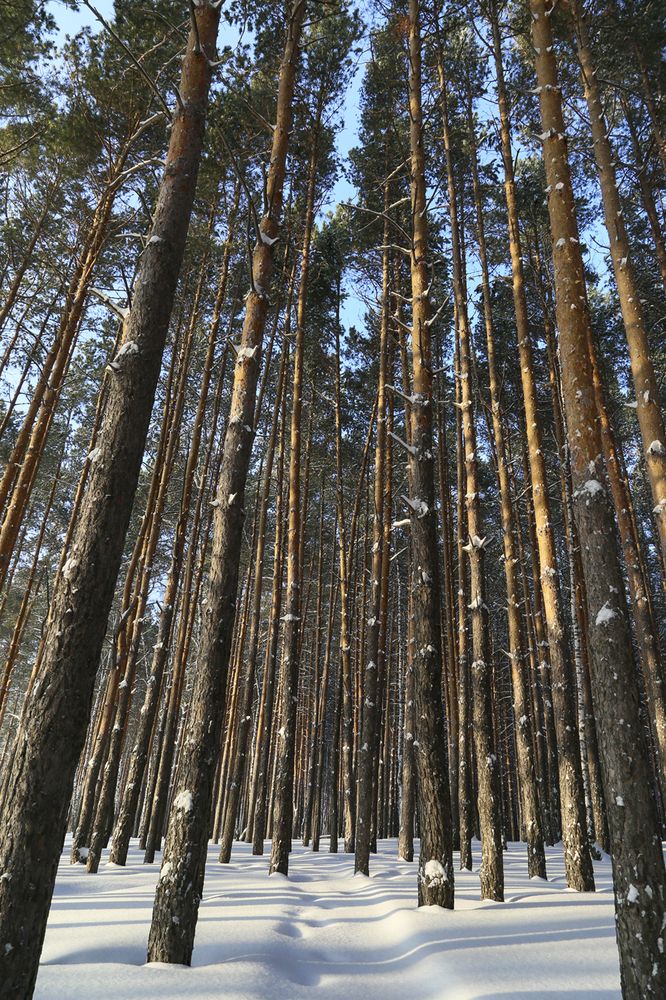 Photograph by Татьяна Атисс