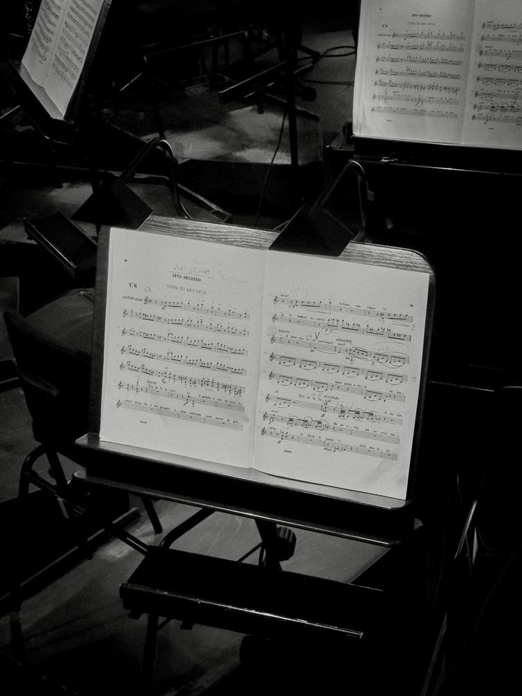 Photograph by Мария Петровцева