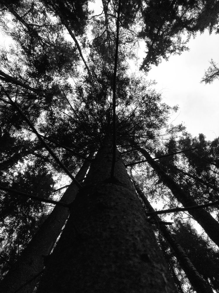 Photograph by Петрова Мария