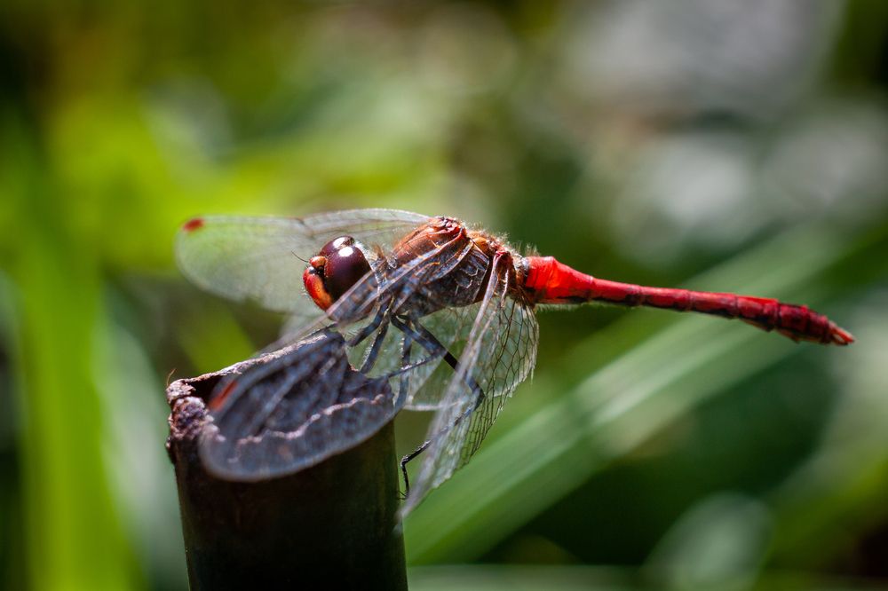 Photograph by Александр Гунин