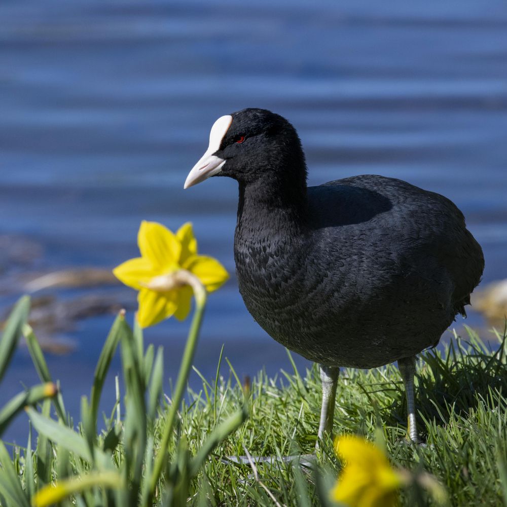 Photograph by Вадим Брыль