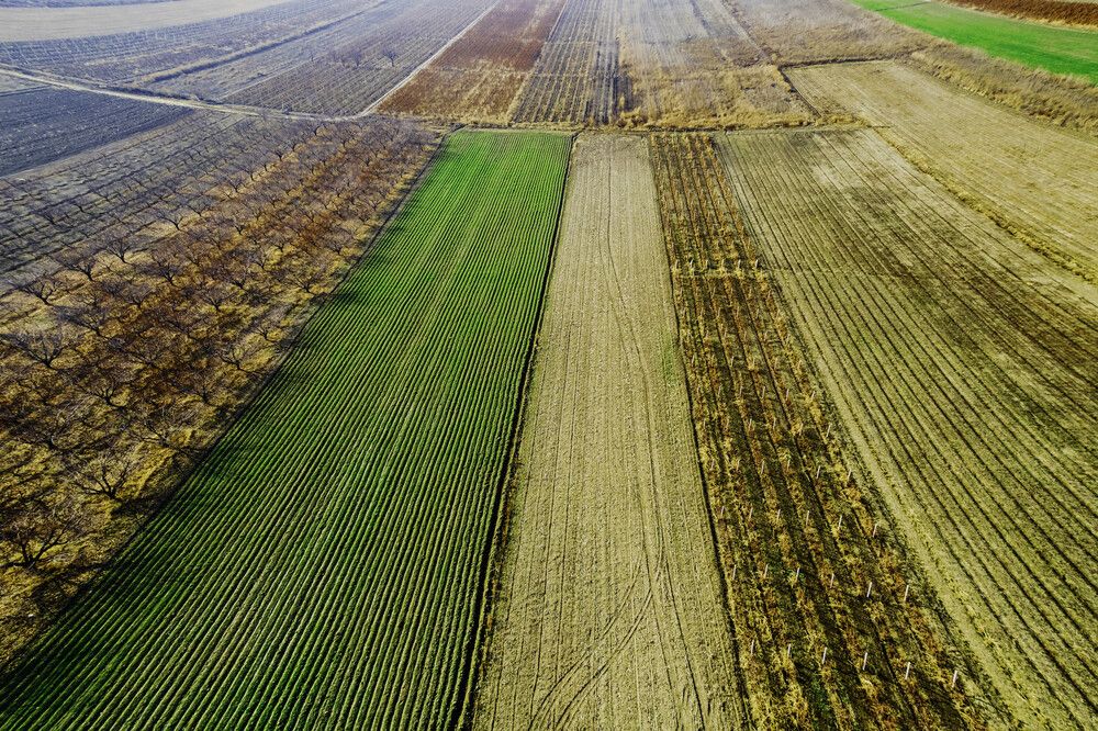 Photograph by Zubair Irshad