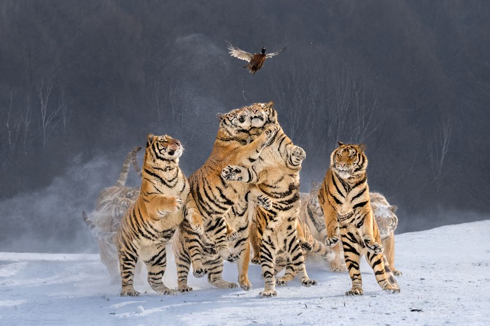 Photograph by Николай Мозгунов