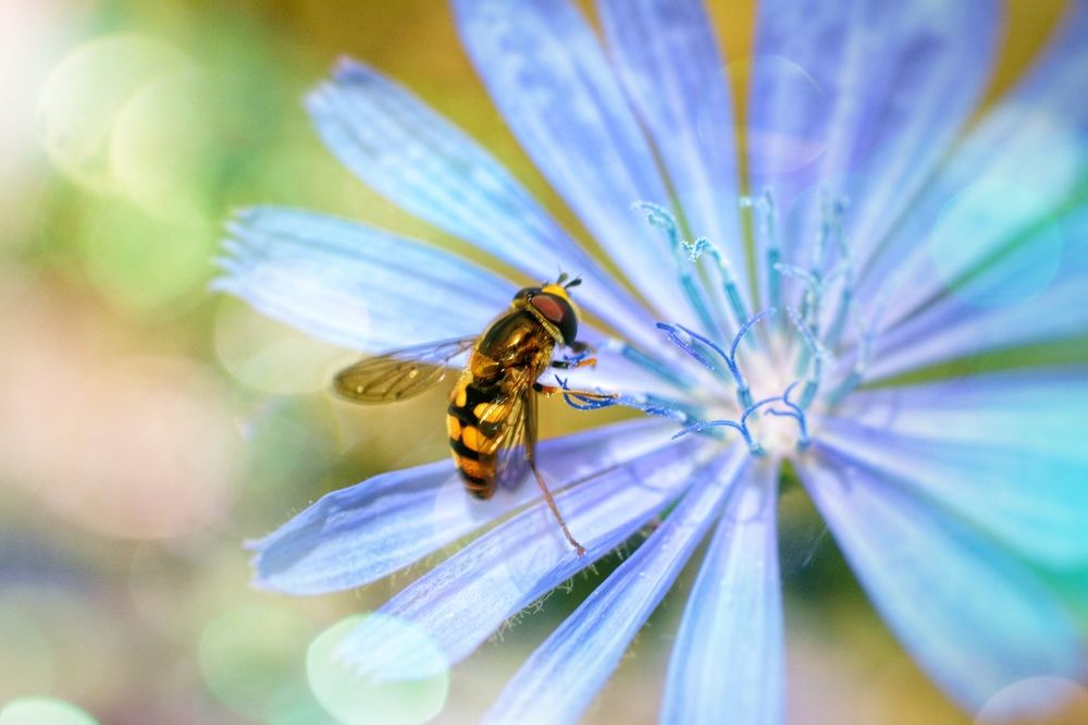 Photograph by Magic Helios