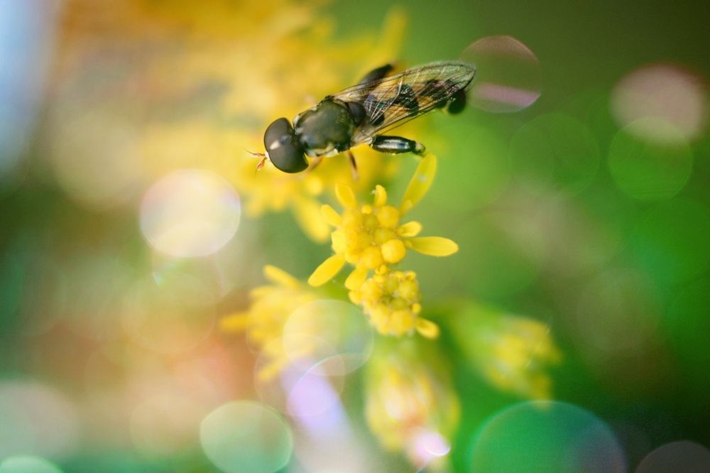 Photograph by Magic Helios