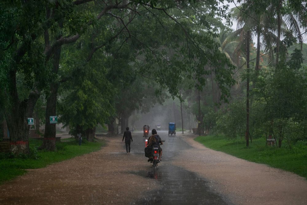 Chasing moments under the downpour