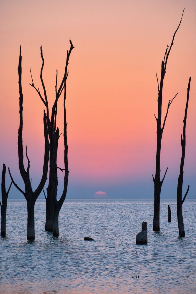 Nada más es necesario.