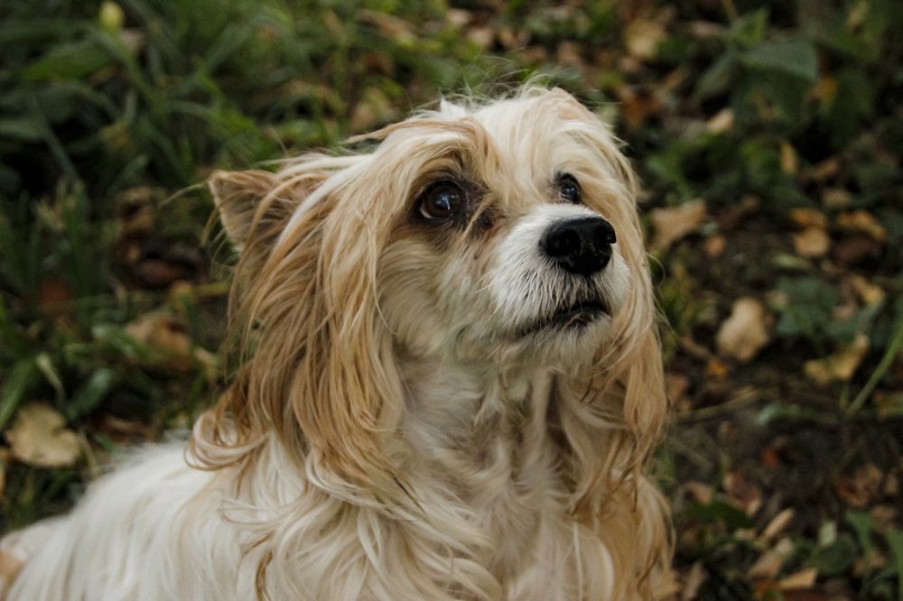 Photograph by Максим Савин