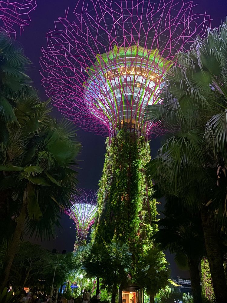 Photograph by Nune Pashayan