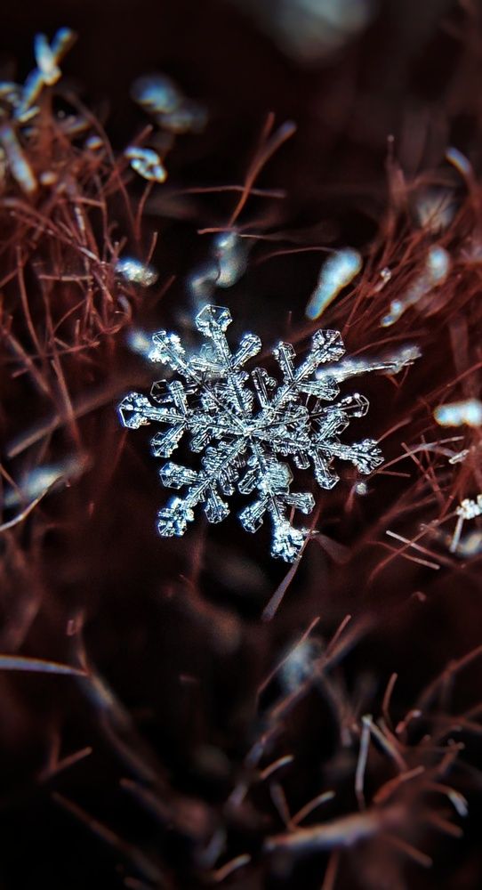 Photograph by Ольга Веселова