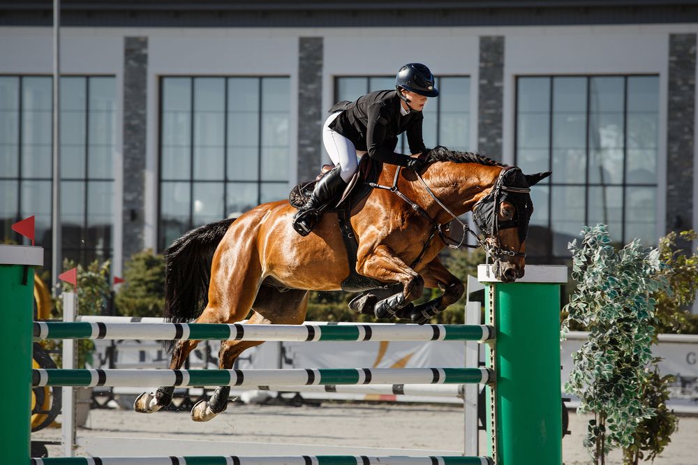 Photograph by Ольга Рябчикова